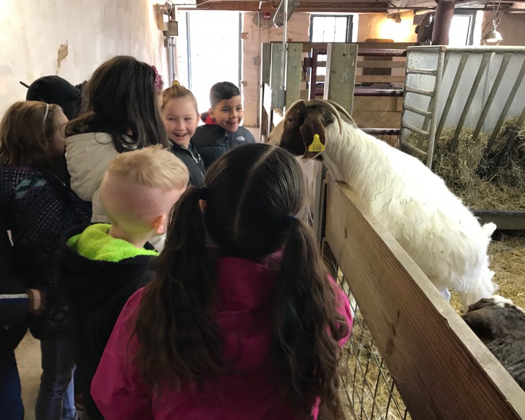 Fox Chase Farm Kennedy C Crossan School fox-chase-farm-kennedy-c-crossan-school